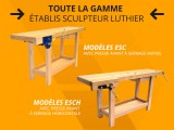 GAMME ÉTABLIS SCULPTEUR LUTHIER